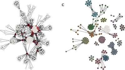 Machine learning dismantling and early-warning signals of disintegration in complex systems featured image